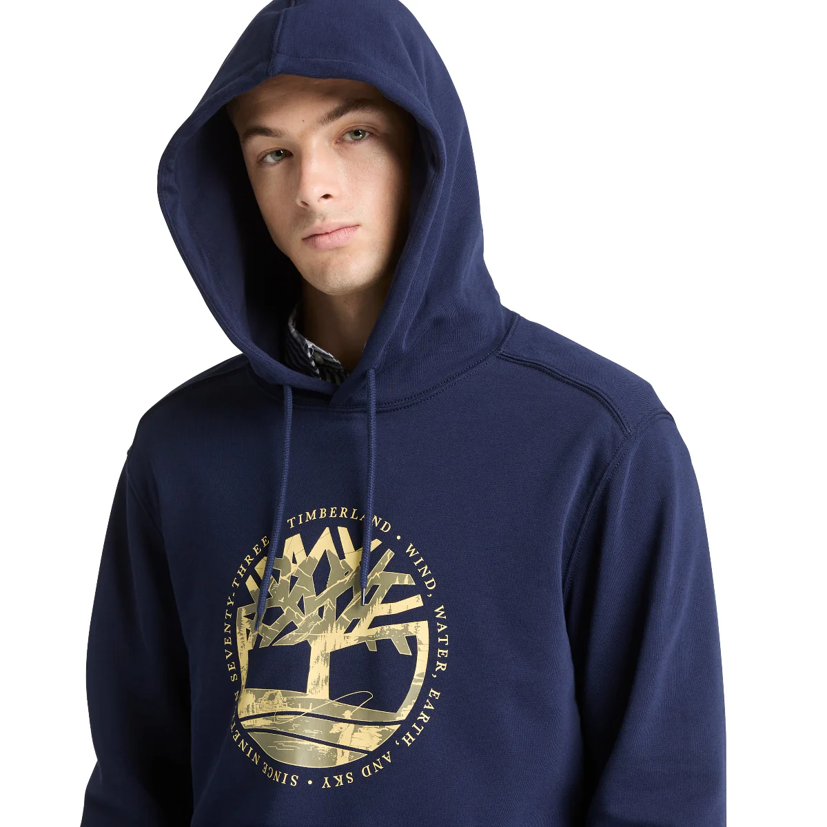 BUZO TREE LOGO LAKE HOUSE GRAPHIC HOODIE HOMBRE - Image 3