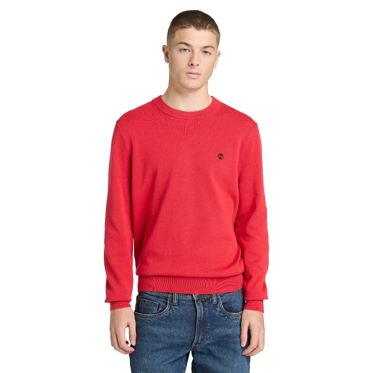 SWEATER COTTON CREW NECK HOMBRE - Image 9