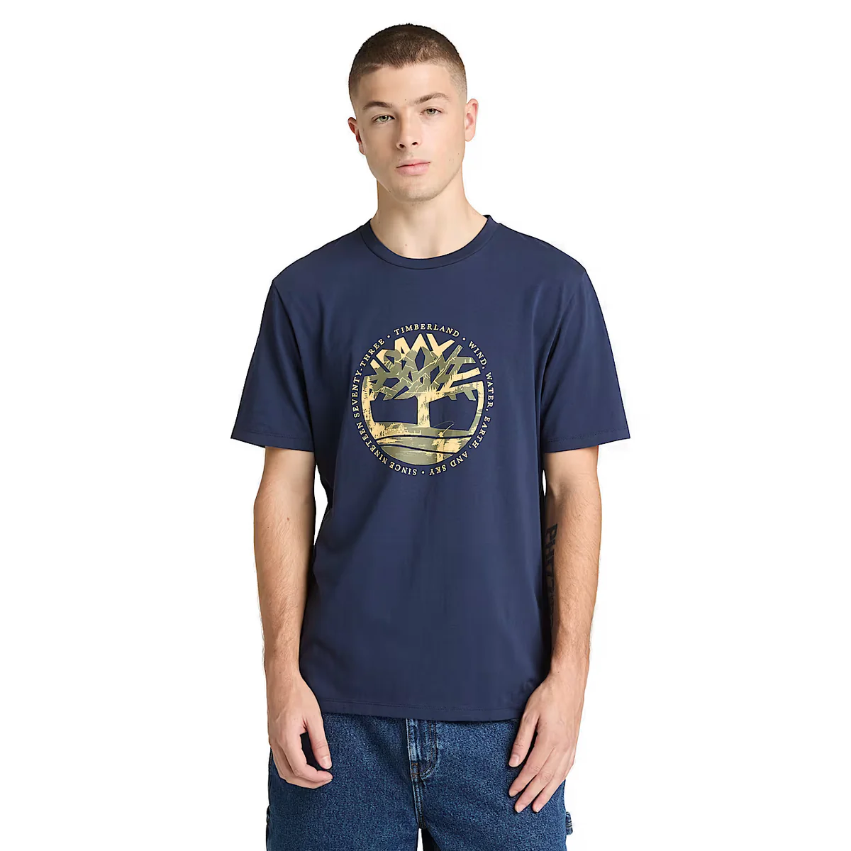 REMERA TREE LOGO LAKE HOUSE GRAPHIC TEE HOMBRE